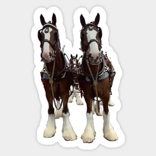 Clydesdales Sticker